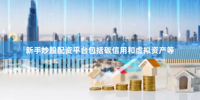 新手炒股配资平台包括碳信用和虚拟资产等