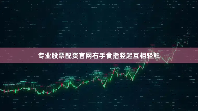 专业股票配资官网右手食指竖起互相轻触