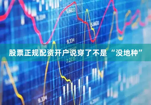 股票正规配资开户说穿了不是 “没地种”